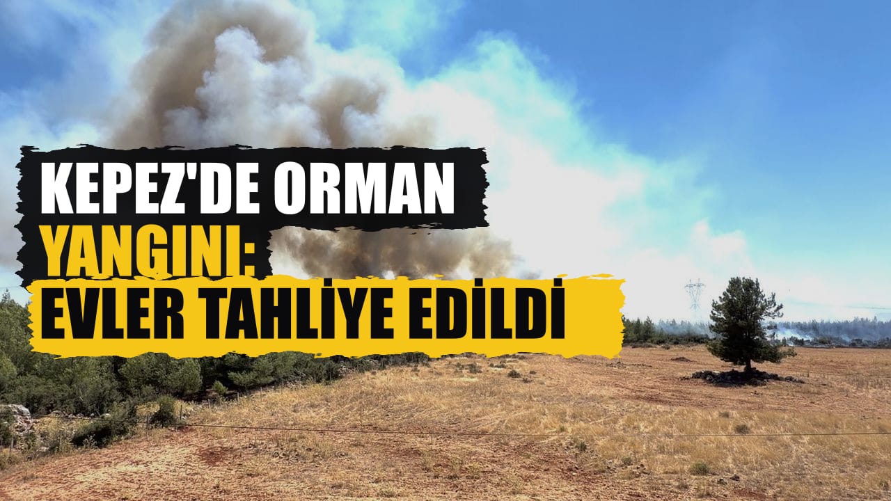 Kepez'de orman yangını: Çamlıca Mahallesi'nde evler tahliye edildi