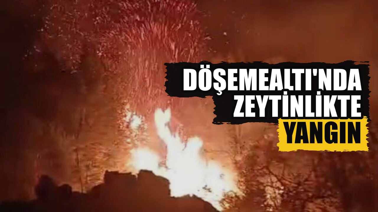 Döşemealtı'nda zeytinlik yangını ekiplerin müdahalesiyle söndürüldü