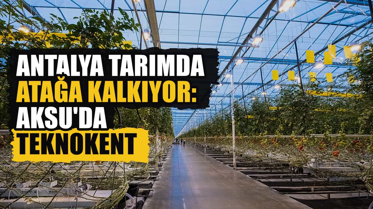 Aksu'da 1.100 dönümlük Tarım Teknokenti kuruluyor