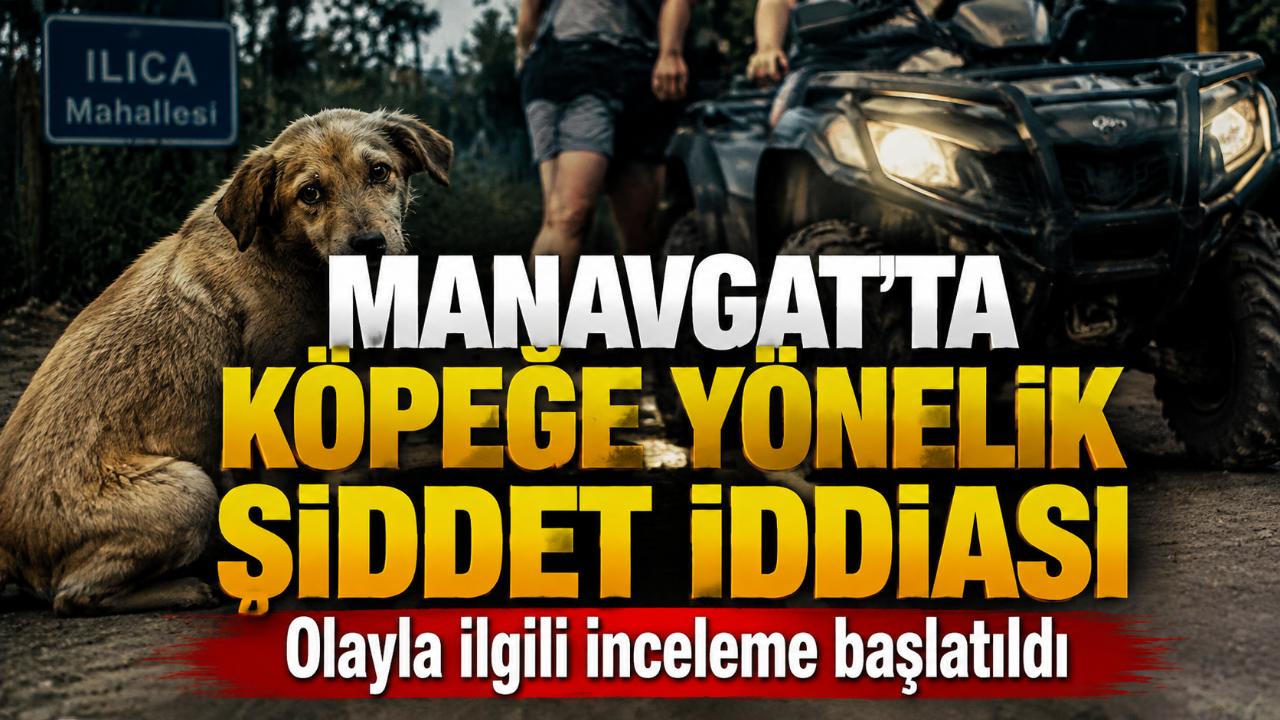 Manavgat’ta sokak köpeğine yönelik şiddet iddiası