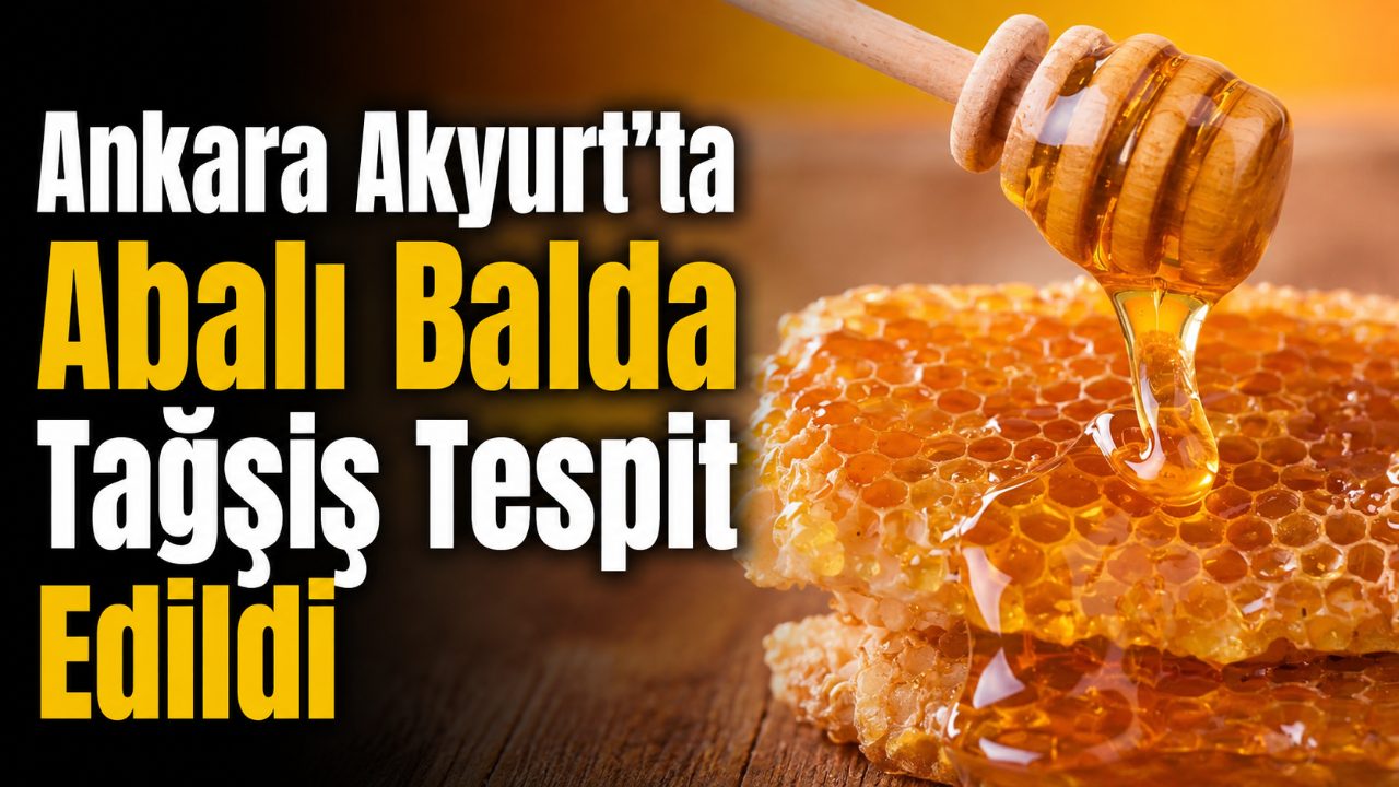 Ankara Akyurt’ta Abalı Balda Tağşiş Tespit Edildi