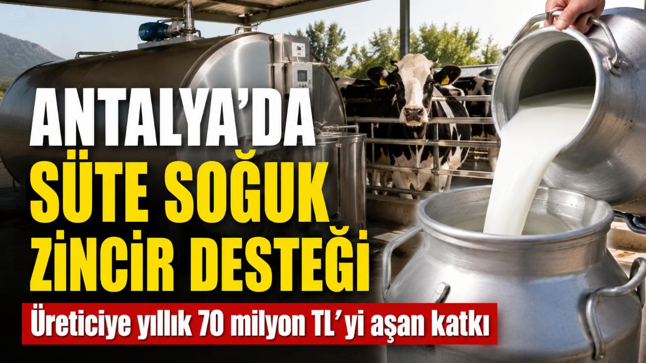 Antalya’da süt üreticisine 70 milyon TL’yi aşan ek gelir