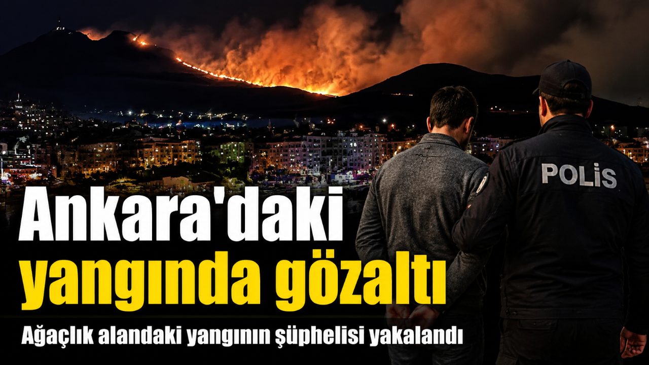 Ankara'da ağaçlık alanda çıkan yangının faili yakalandı