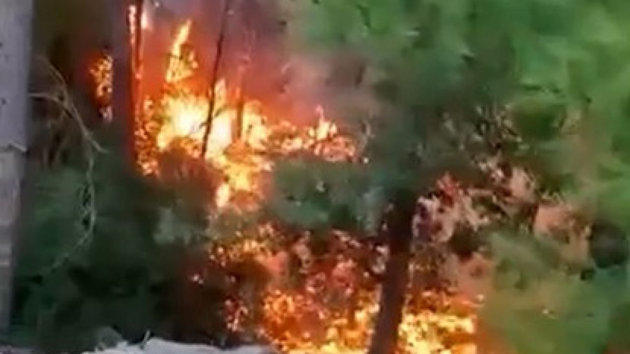 Alanya’da yıldırım orman yangınına neden oldu: 1 dönüm zarar gördü
