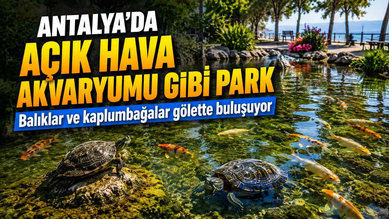 Antalya'daki bu park açık hava akvaryumunu andırıyor