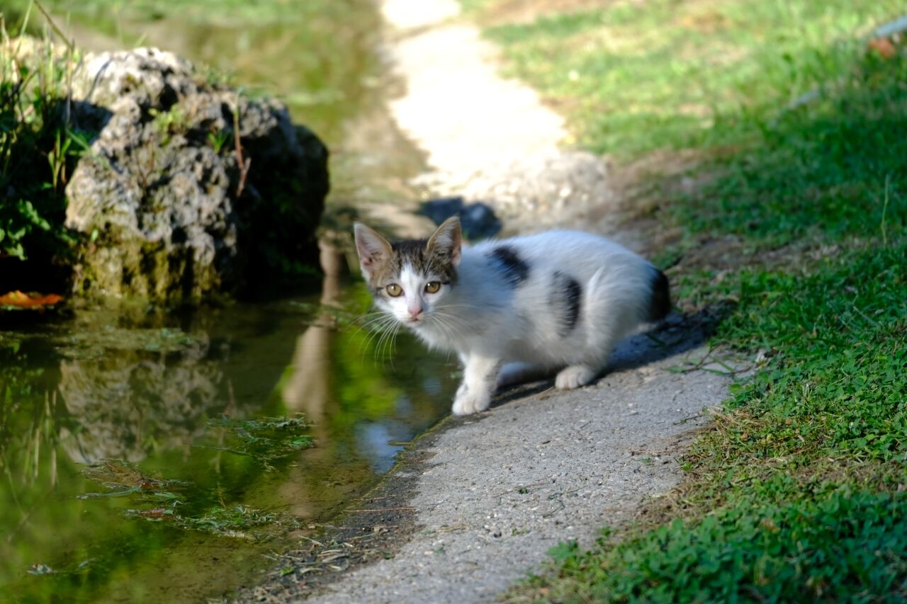 Antalya'daki bu park açık hava akvaryumunu andırıyor