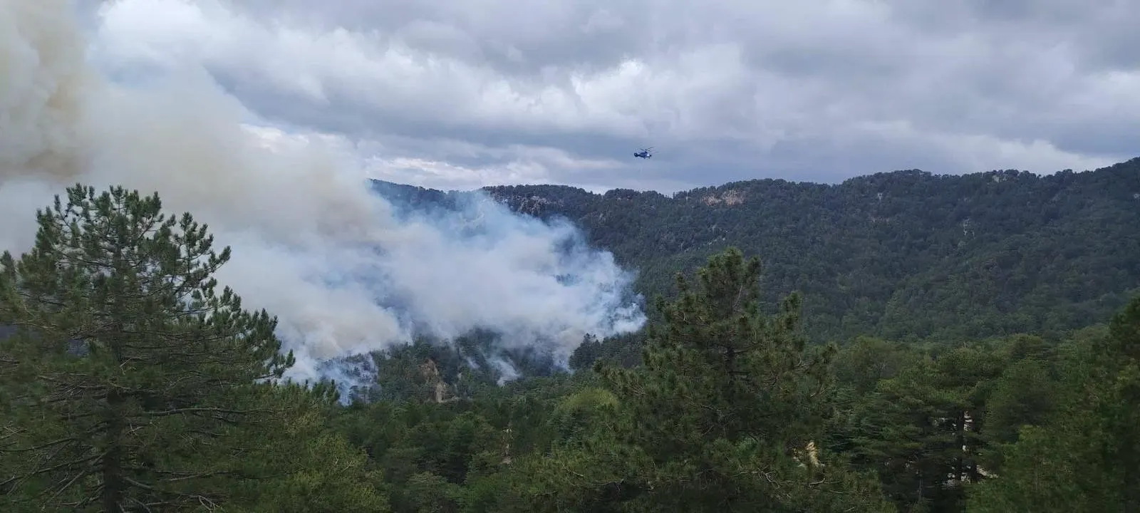 Manavgat'ta orman yangını: Beşkonak'ta müdahale sürüyor