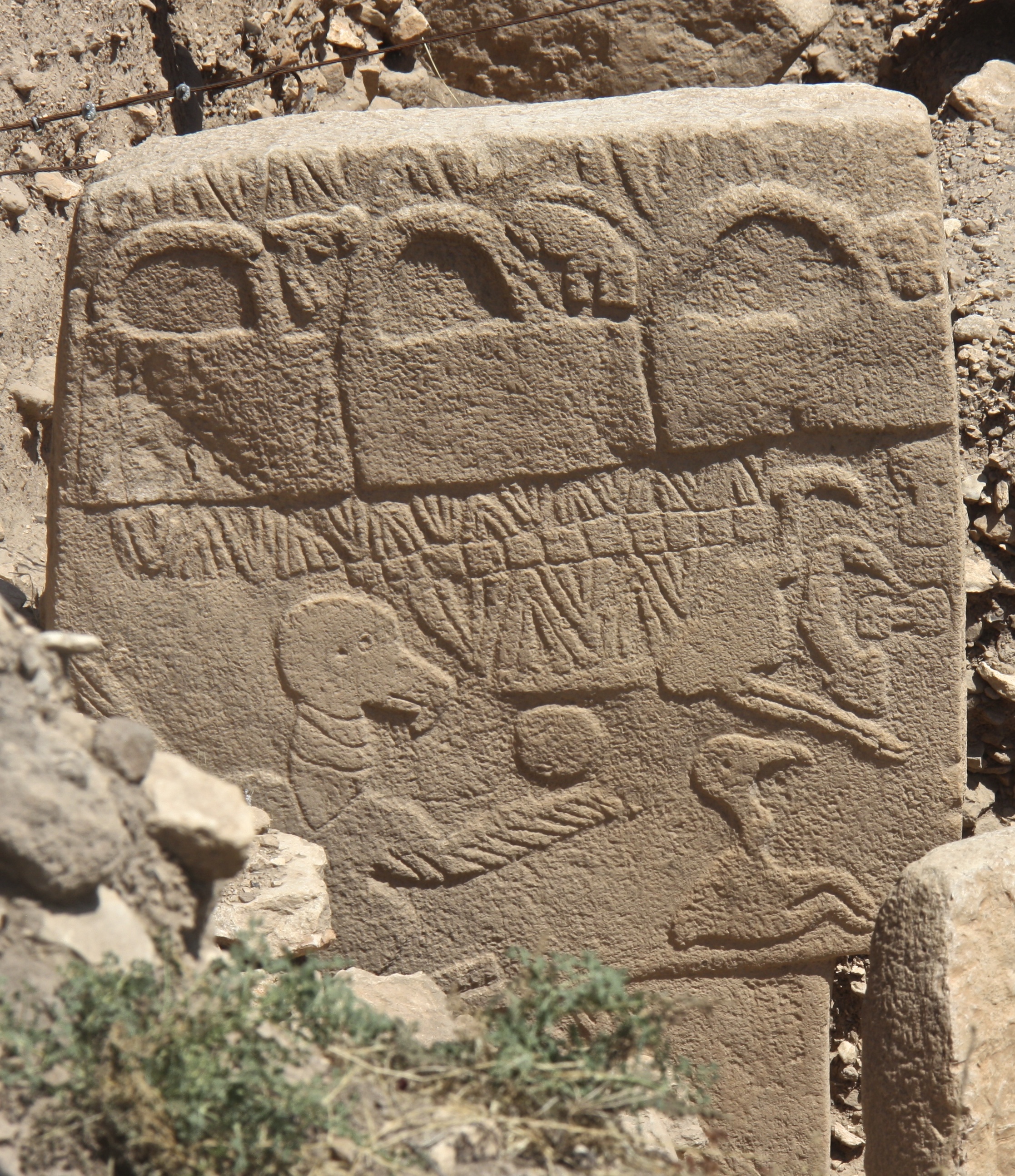 Göbeklitepe’de Akbaba Taşı’nın sembolleri görülüyor
