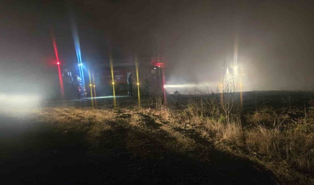 Boğazkent'te sazlık alandan duman yükseldi