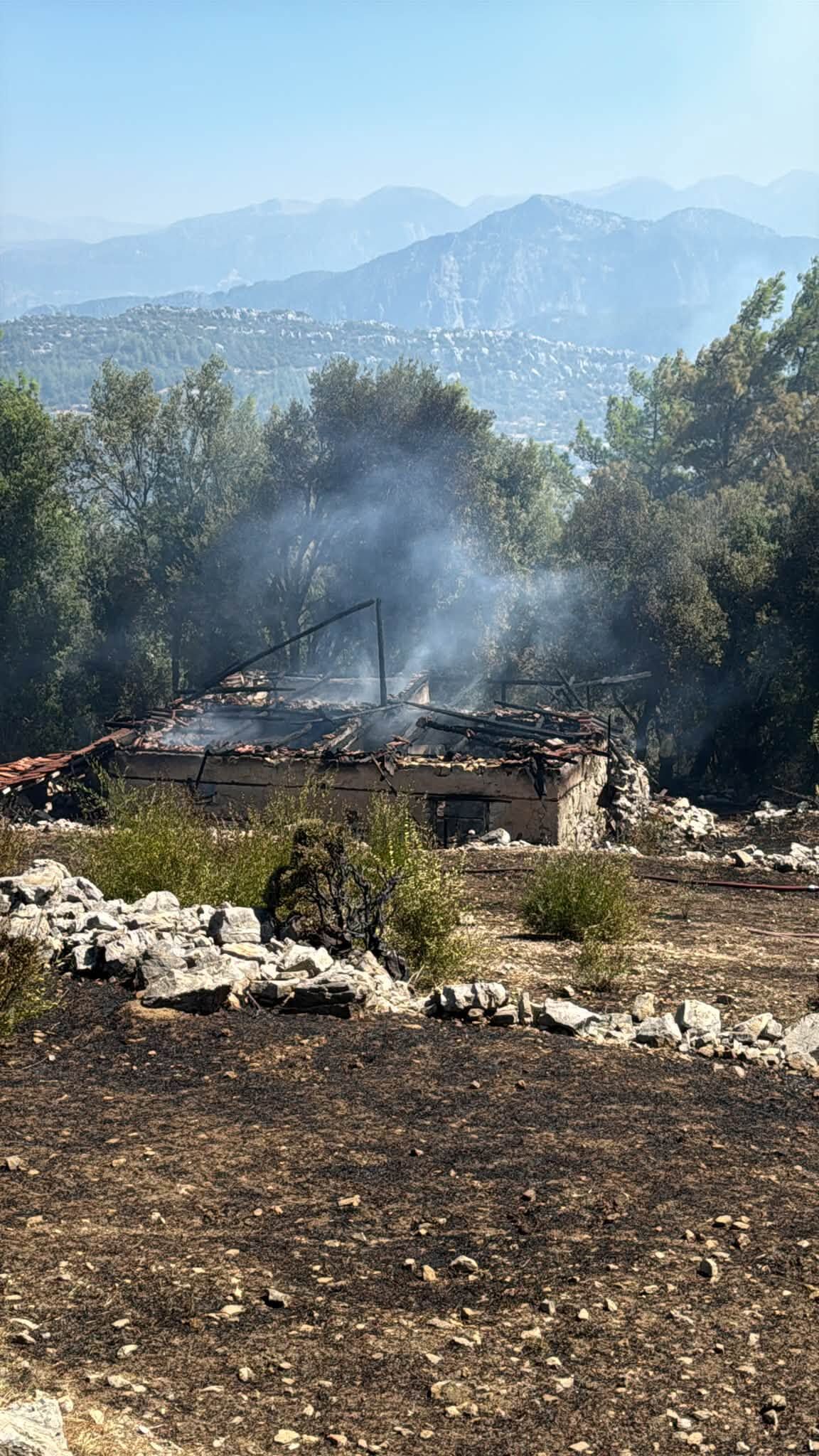 Ormanlık alanda söndürme çalışmaları sürüyor