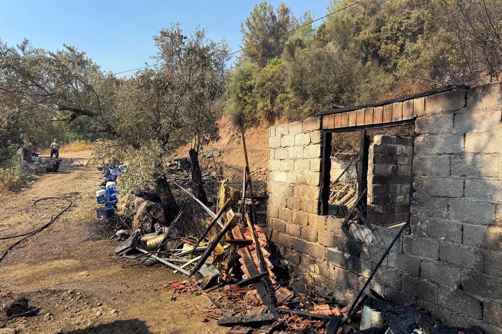 Kumluca’da ormanlık alanda yangın izleri