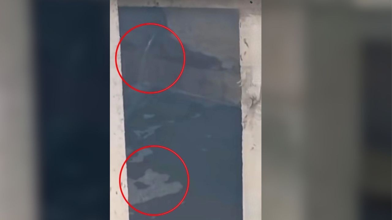 Kargıcak’ta dere çevresinde kirlilik görüntüsü