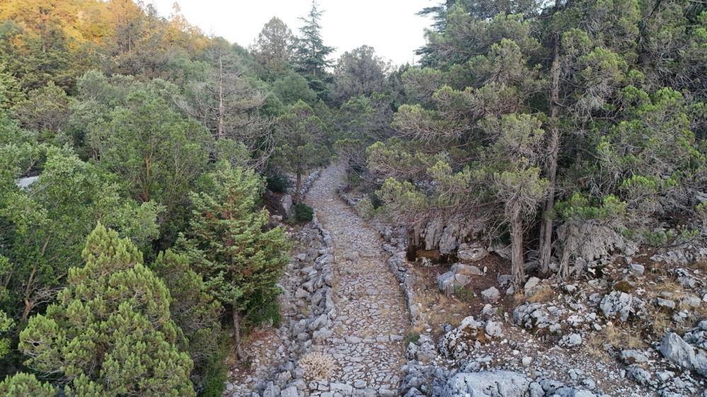 Akseki ormanında kervan yolu uzanıyor