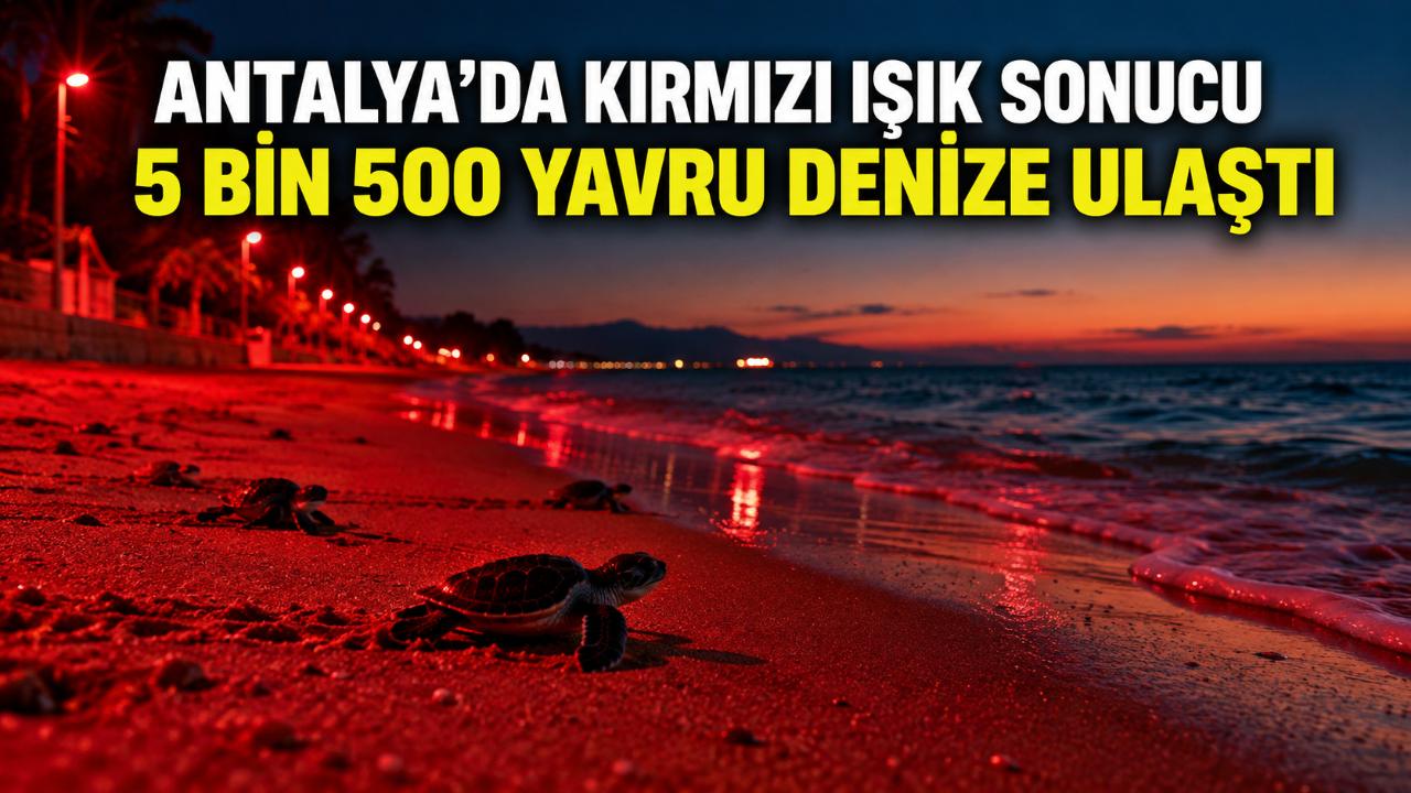 Antalya'da kırmızı LED'lerle 5 bin 500 caretta denizde
