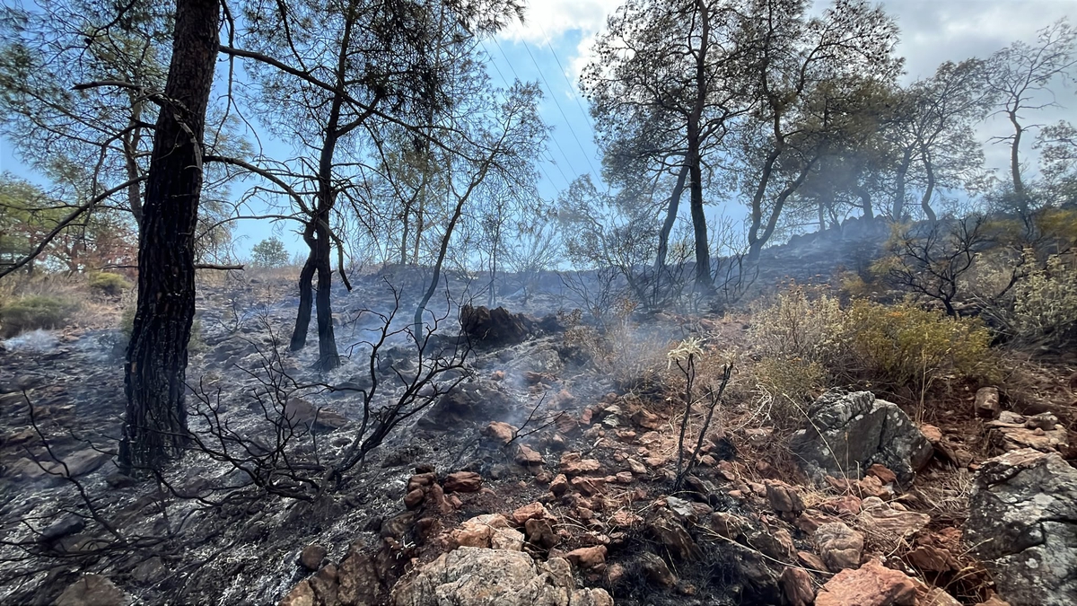Çamyuva’da ekiplerin yangına müdahalesi