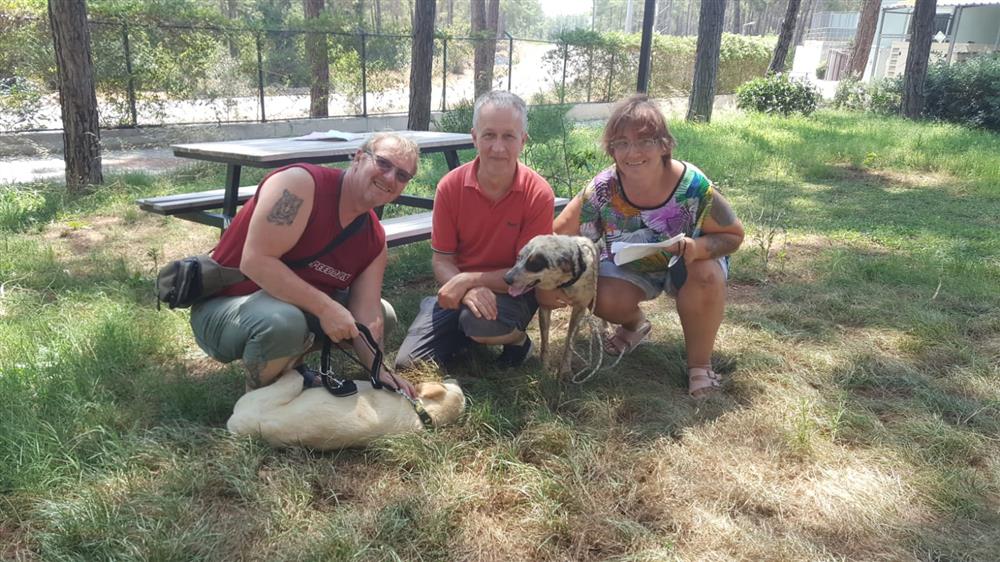 Demirtaş'ta sahiplendirilen köpekler yeni aileleriyle