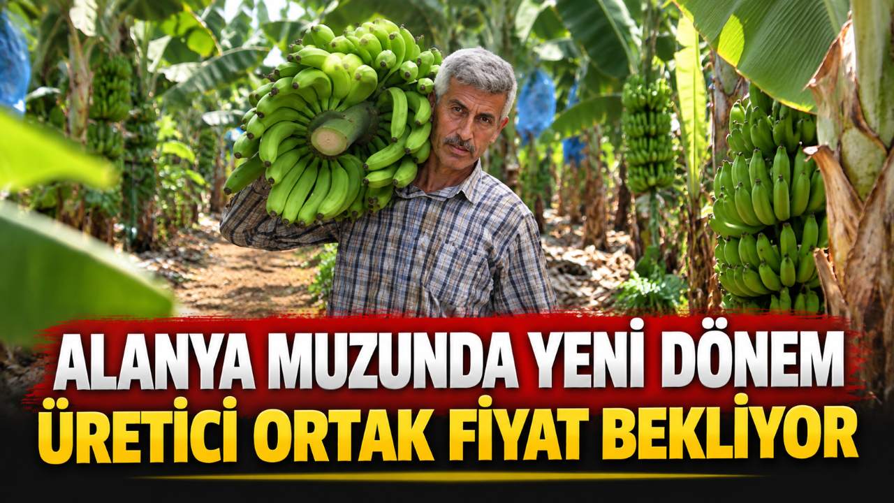 Alanya muzunda talep beklentisi: Ortak fiyat çağrısı