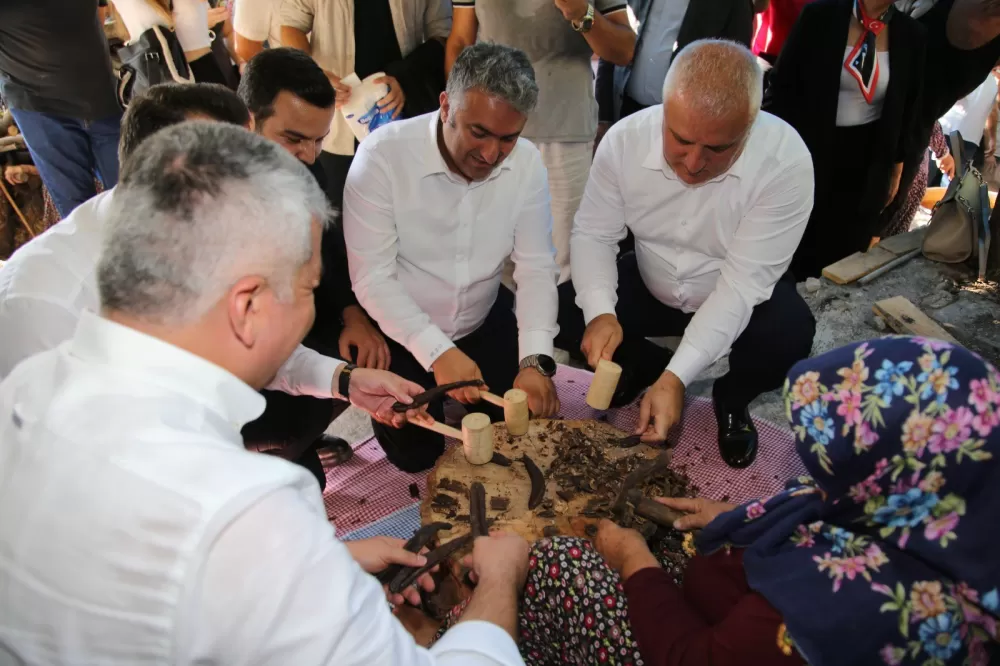 Alanya’da keçiboynuzları geleneksel yöntemle işleniyor