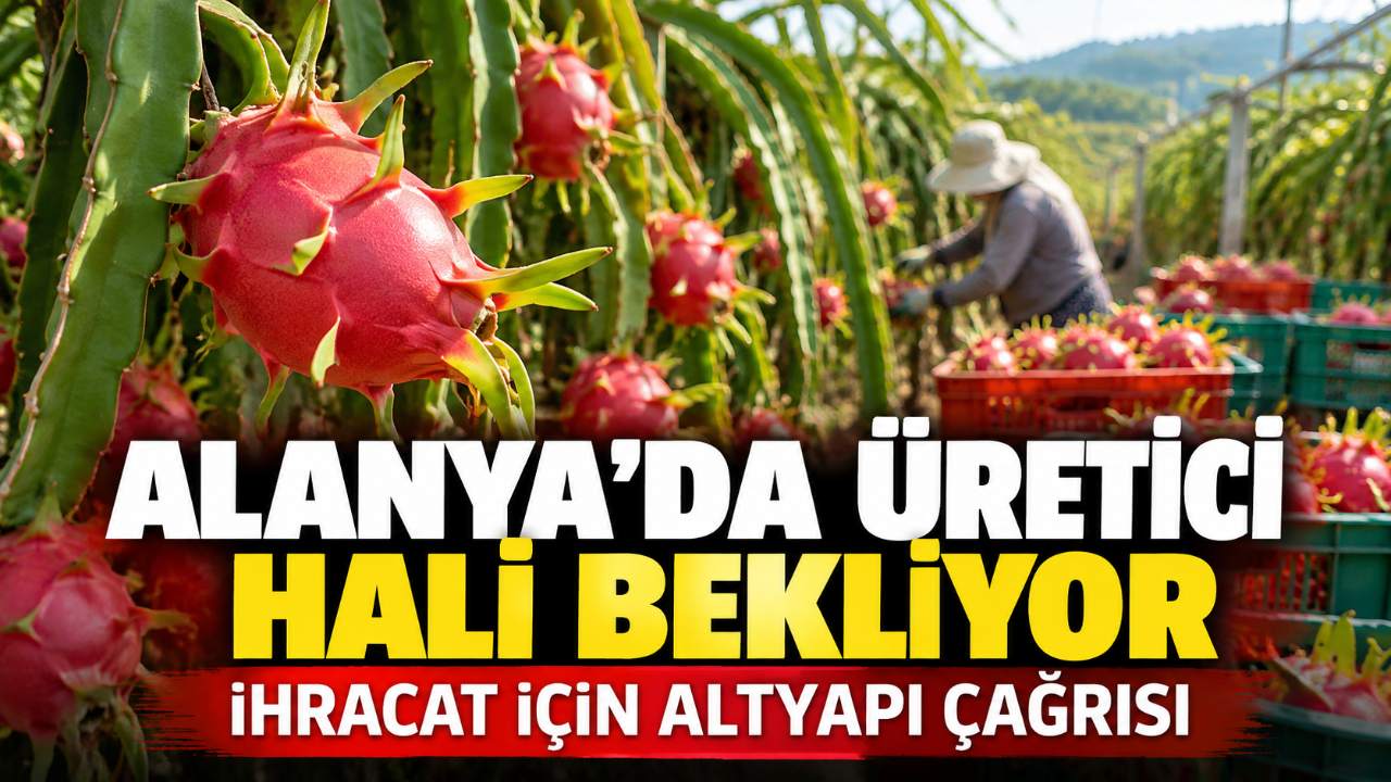 Alanya’da üreticiden yeni hal için ihracat çağrısı