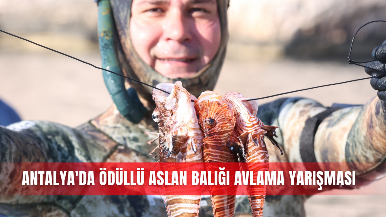 META | kategori: Yaşam | il: Antalya | ilce: Finike | etiket: Finike, aslan balığı, Gökliman, Mavikent Takımı, Antalya Büyükşehir Belediyesi | spot: Antalya Finike’de istilacı aslan balığına karşı düzenlenen yarışmada 9 takım, üç saatlik dalışta 117 balık yakaladı; iki kategoriyi Mavikent Takımı kazandı.