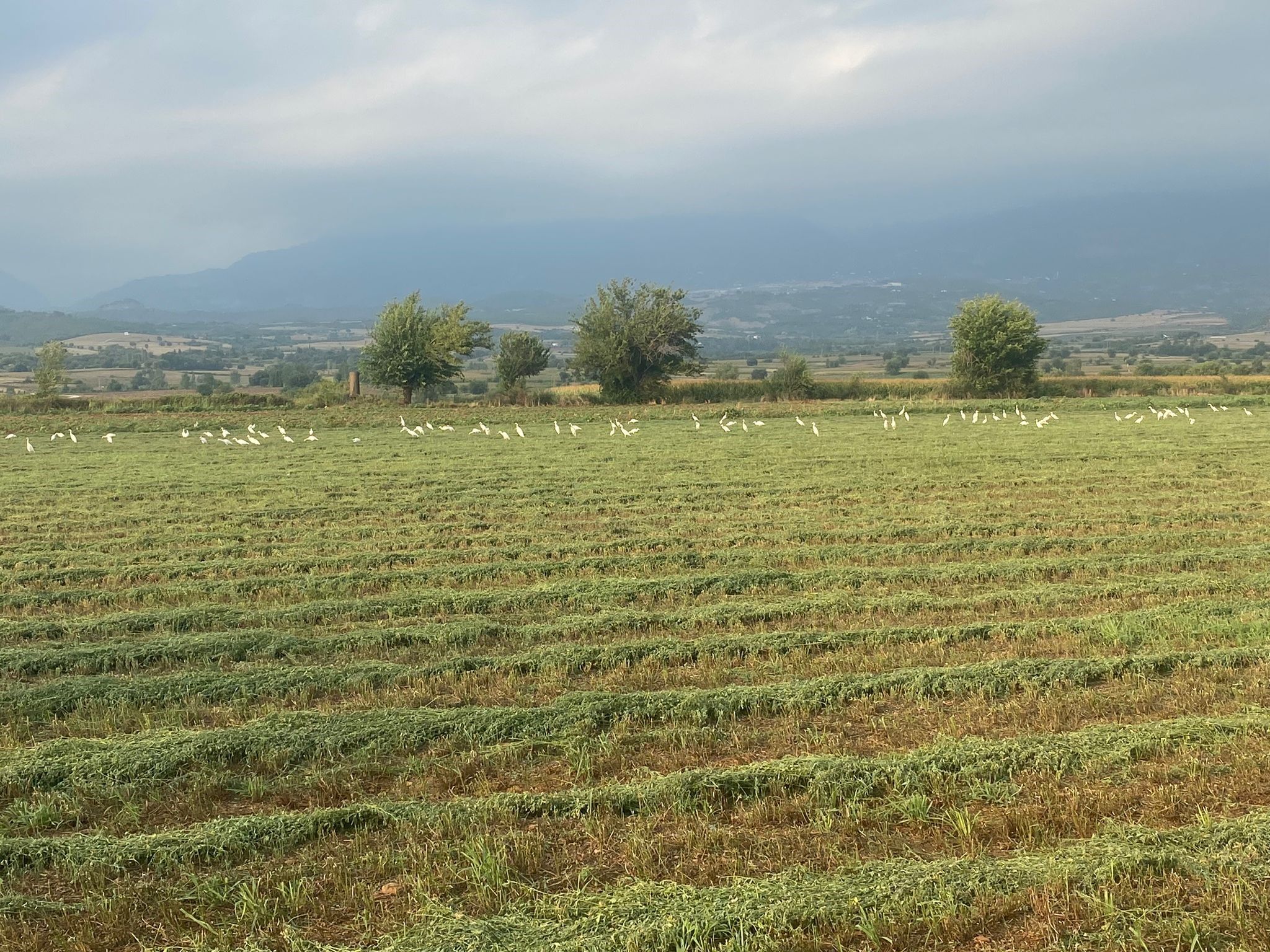 Gazipaşa’da büfeler için ihale düzenlenecek
