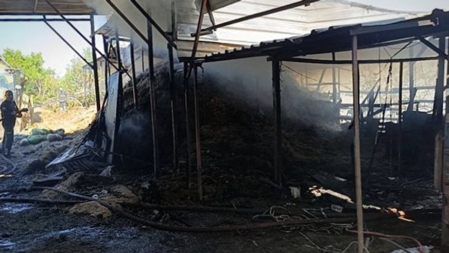Manavgat’ta aynı ahır iki yıl arayla yeniden yandı