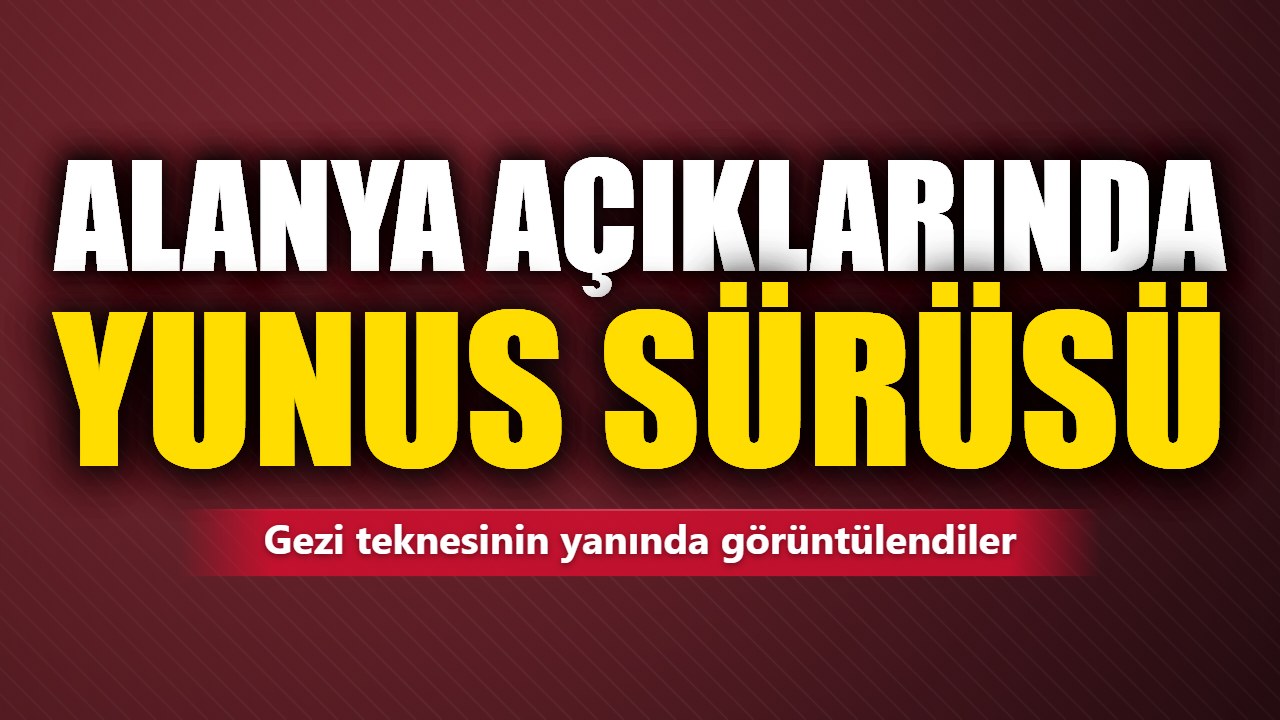 Alanya Kalesi açıklarında yunus sürüsü görüntülendi