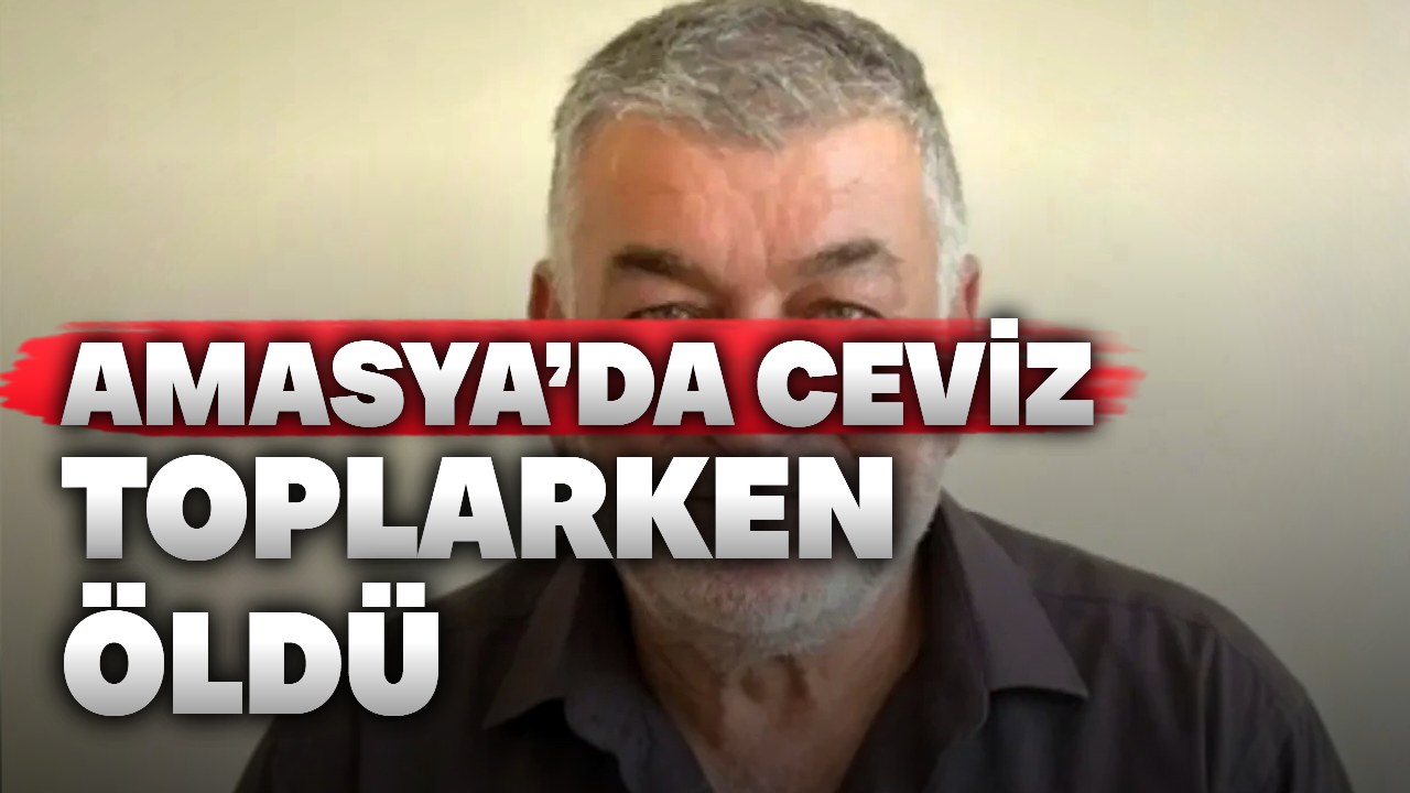Amasya’da ceviz toplarken ağaçtan düşen kişi öldü